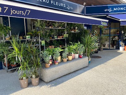 Monceau Fleurs- Saint Egrève, Fleuriste à Saint-Égrève