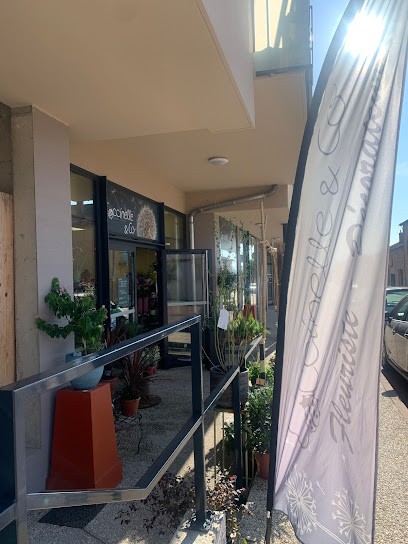Coccinelle & Co, Fleuriste à Renaison