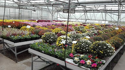 Les floralies gavrayennes, Fleuriste à La Baleine