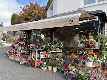 Fleurs Du Mené, Fleuriste à Louargat