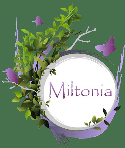 Miltonia, Fleuriste à Vernouillet