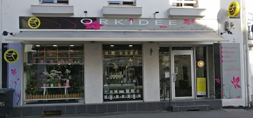 Ork'idée Fleurs, Fleuriste à Vannes