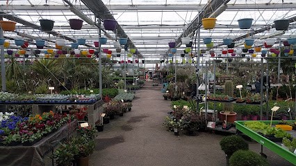 Nadine Fleurs, Fleuriste à Villeneuve-en-Retz