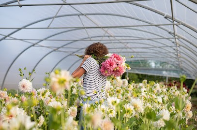 Ferme De Lescinquit, Fleuriste à Plouigneau