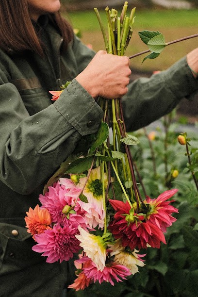 à L'ombre Des Fougères Ferme Florale, Fleuriste à Camphin-en-Carembault