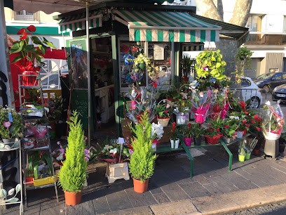 Kiosque à fleurs Belle-de-mai, Fleuriste à Marseille 03