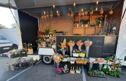 Croisière Fleurs, Fleuriste à Phalsbourg