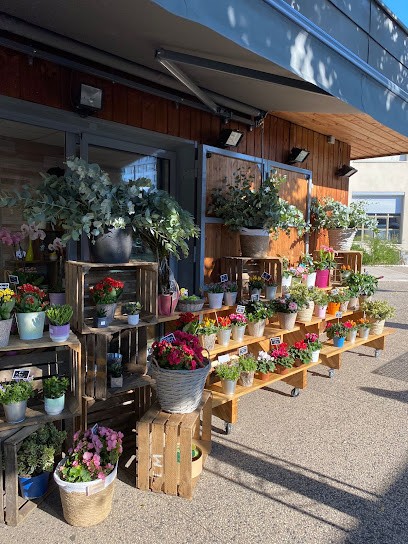 Kiosque fleurs, Fleuriste à Caluire-et-Cuire