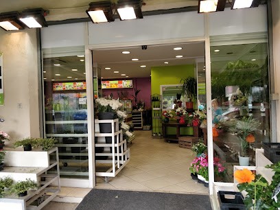 Envie de Fleurs, Fleuriste au Cannet
