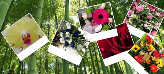 Artisan Fleuriste Parfum De Fleurs, Fleuriste à Pornichet