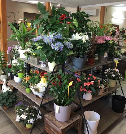 Danglard Fleurs Autour Des Fleurs, Fleuriste à Nantiat