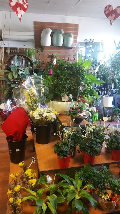 Coeur De Fleurs, Fleuriste à Canohès