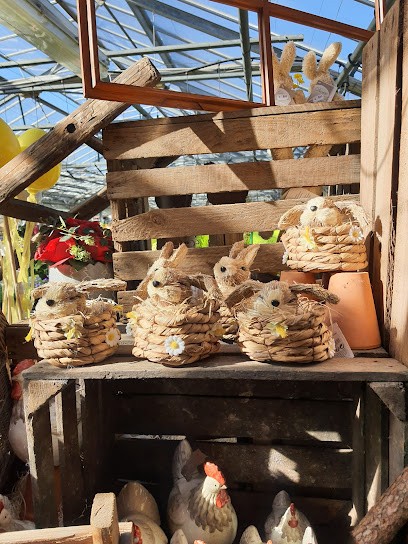 Fleurs Seyller Sarl, Fleuriste à Saverne