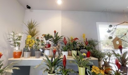 Livraison De Fleurs Et Bouquets Morteau, Fleuriste à Villers-le-Lac