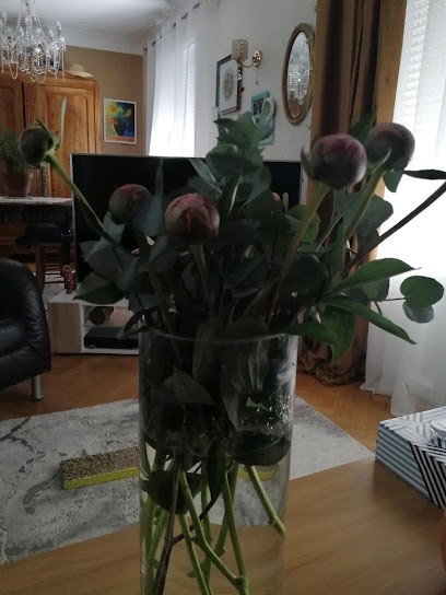 Le Jardin Des Fleurs, Fleuriste à Rezé