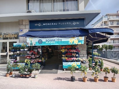 Monceau Fleurs, Fleuriste au Cannet