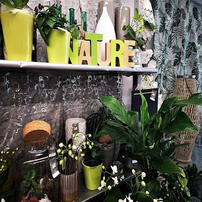 Fleur Blanche, Fleuriste au Lion-d'Angers