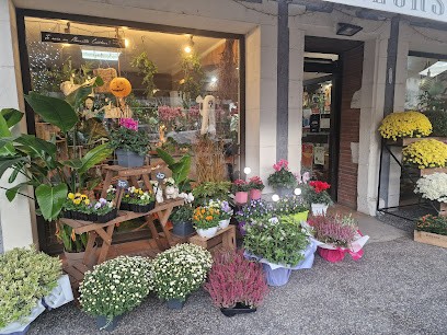 The Flower of Time, Fleuriste à Cazères