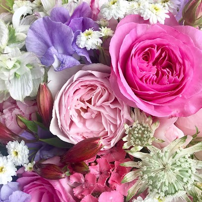 Mes Trésors Verts, Fleuriste à Quemper-Guézennec