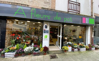 A Fleurs de Pot, Fleuriste à Sarzeau
