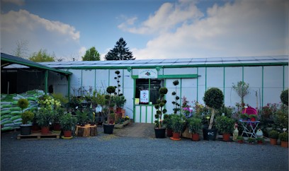 Eliezer Fleurs, Fleuriste à Baugé-en-Anjou