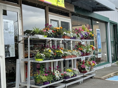 The Flower Garden, Fleuriste à Villeneuve-d'Ascq