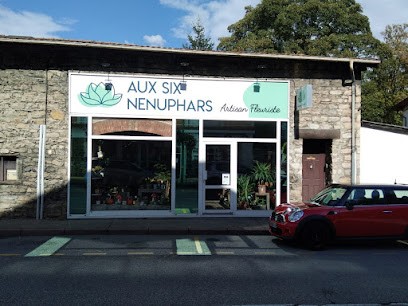 Aux Six Nenuphars, Fleuriste à La Verpillière