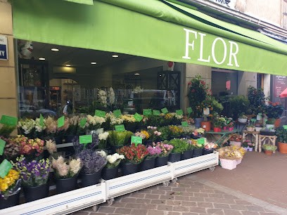 Flor sté, Fleuriste à Croissy-sur-Seine