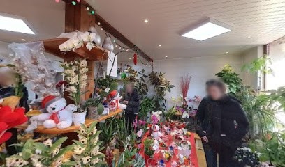 LES ARCANES FLEURIES, Fleuriste à Saint-Siméon-de-Bressieux
