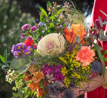 L'Île aux Marguerites, Artisan Fleuriste à Clamart, Fleuriste à Clamart