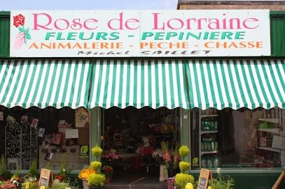 Saillet Michel, Fleuriste à Longuyon