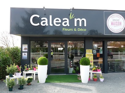 Calea'm 💐 Fleuriste Tout événement, Abonnement Et Atelier Floral, Fleuriste à Virazeil