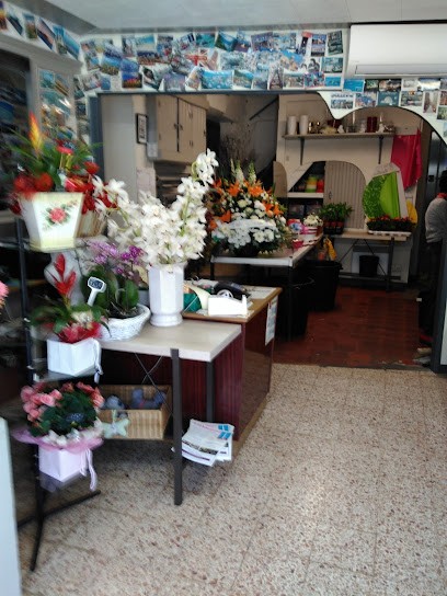 Viale Fleurs, Fleuriste à Marseille 09