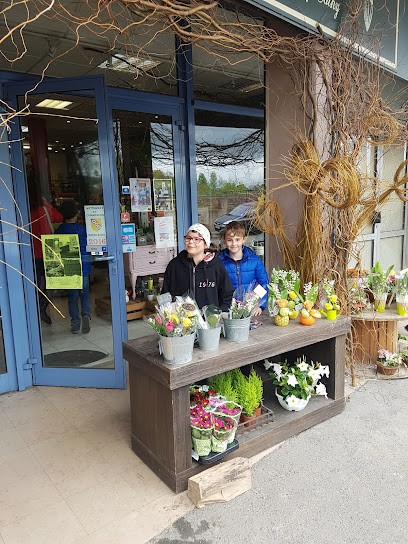 Fleurs Dicop Cathy, Fleuriste à Sierck-les-Bains