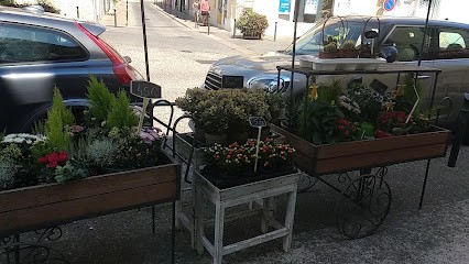Jocy Fleurs - Mèze, Fleuriste à Mèze
