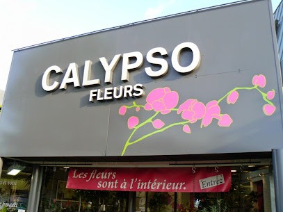 Calypso Flowers Tournefeuille, Fleuriste à Tournefeuille