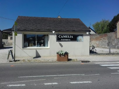 CAMELIA, Fleuriste à Saint-Usage