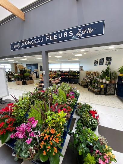 Monceau Fleurs Plouzané, Fleuriste à Plouzané