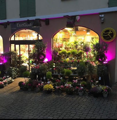 Exotica, Gilles Fretz Fleuriste, Fleuriste à Garches