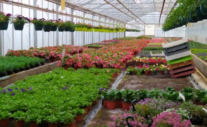 Lacaze Fleurs, Fleuriste à Eauze