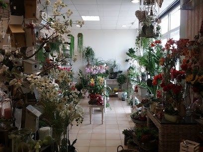 Vouloir des Fleurs, Fleuriste à Saint-Geniès-de-Malgoirès