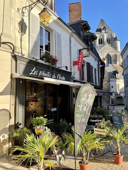 Les plantes de Nicolas, Fleuriste à Saint-Aignan