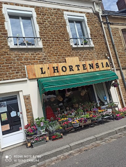 L'Hortensia, SARL Derouault, Fleuriste au Merlerault
