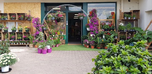 Mana Flore, Fleuriste à Brazey-en-Plaine