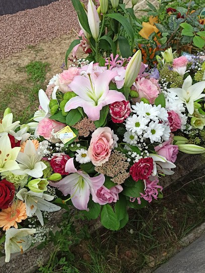 Maison PLASSE Sim Fleur, Fleuriste à Pouilly-sous-Charlieu