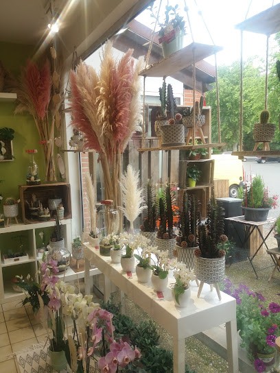 Barry fleurs, Fleuriste à Muret