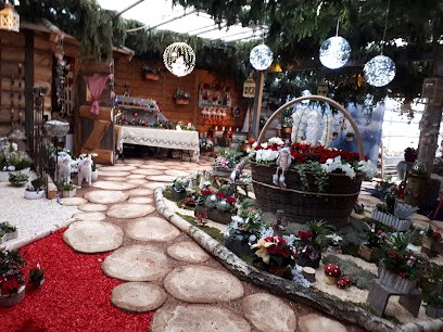 Fleurs Stempfler, Fleuriste à Issenheim