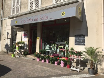 Un Brin De Folie, Fleuriste à Saint-Yrieix-la-Perche