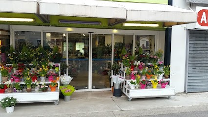 SARL VIOLETTE, Fleuriste à Portes-lès-Valence