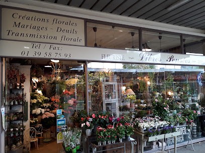 Libres Pensées, Fleuriste à Marly-le-Roi